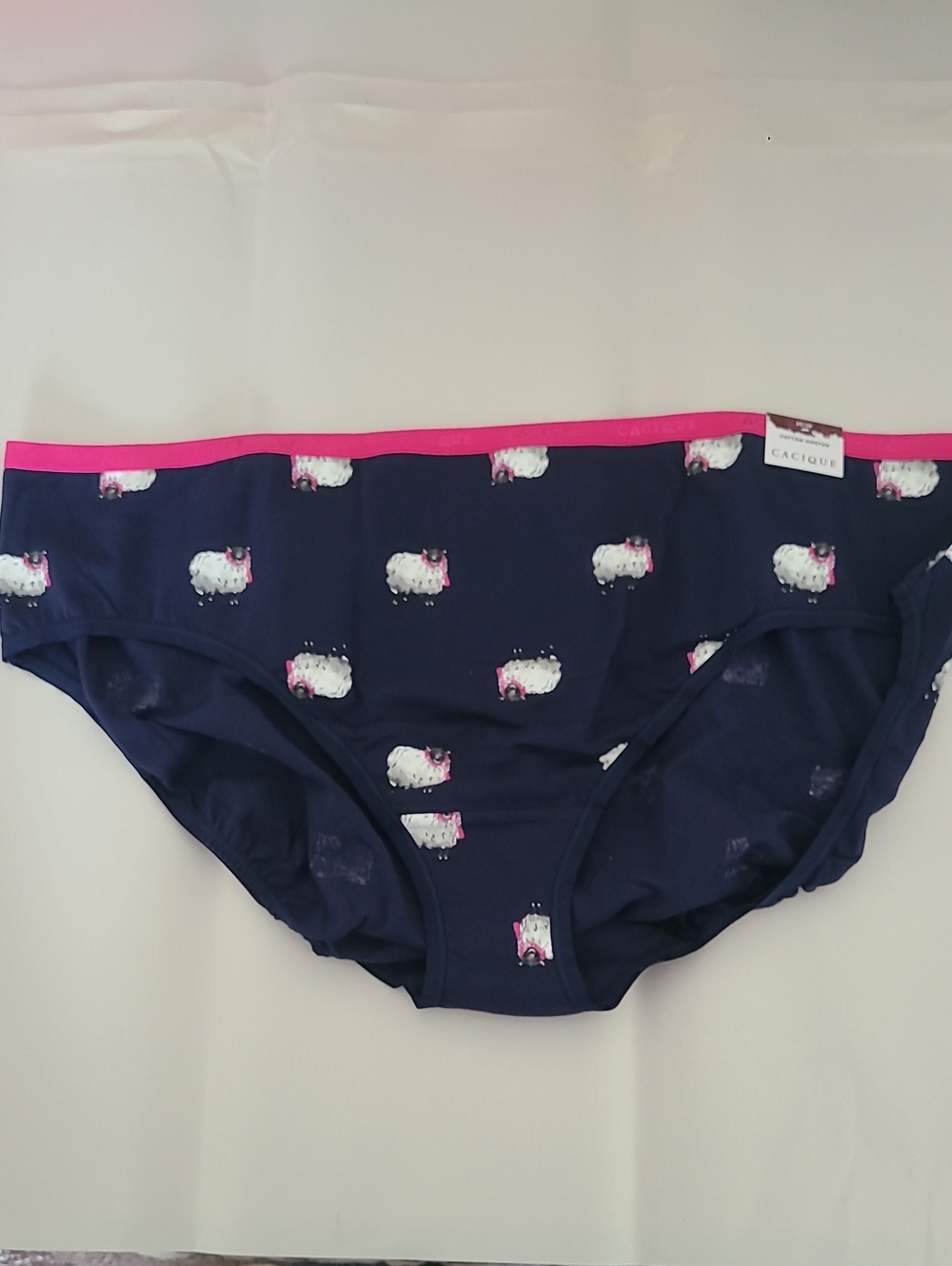 Cacique Cotton Hipster Panty